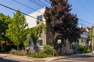 75 Marie-Anne Rue E in Montréal, QC - Building Photo