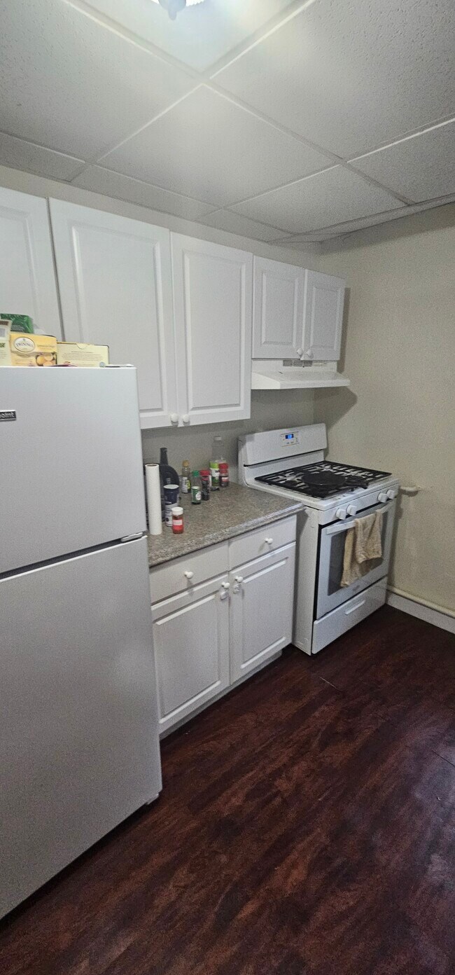 394 Riverway, Unit 2A in Boston, MA - Building Photo - Building Photo