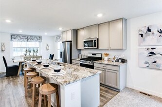 12572 Guadalcanal Cir in Blaine, MN - Building Photo - Building Photo