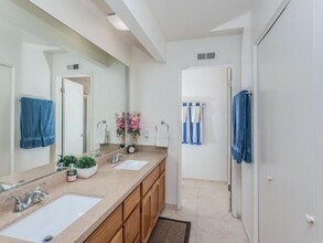 906 Alyssum Rd in Carlsbad, CA - Building Photo - Building Photo