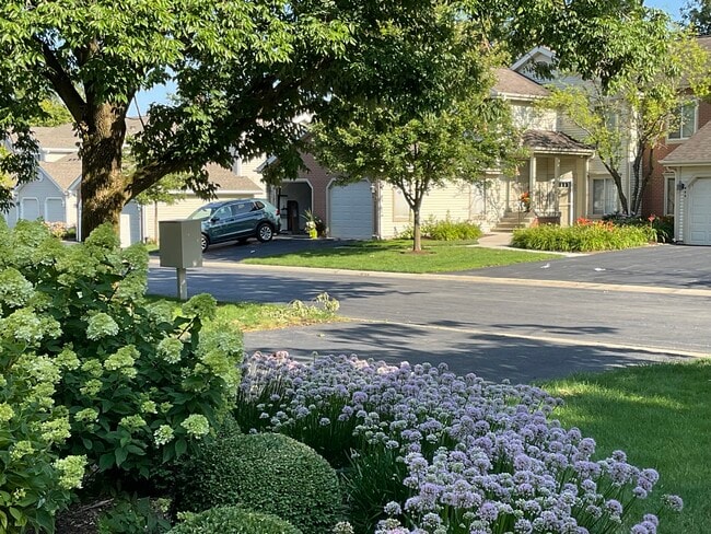 455 58th Pl in Hinsdale, IL - Building Photo - Building Photo