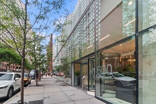 600 N Fairbanks Ct in Chicago, IL - Building Photo