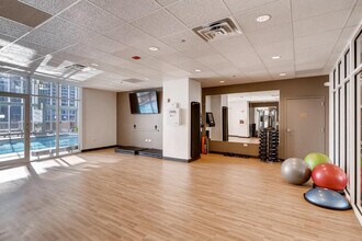 445 E North Water St in Chicago, IL - Building Photo - Building Photo