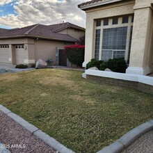 20642 N 16th Pl in Phoenix, AZ - Building Photo - Building Photo