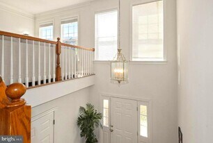 8116 Rainwater Cir in Manassas, VA - Building Photo