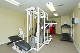 Windchase Hamlet Apartments in Houston, TX - Foto de edificio - Interior Photo