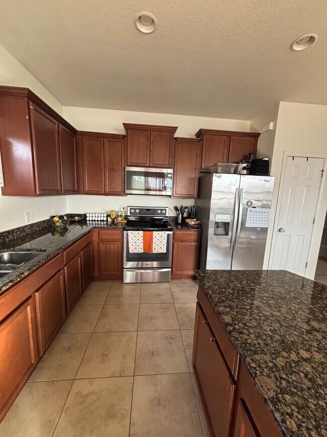 687 Petal Mist Ln in Brooksville, FL - Foto de edificio - Building Photo