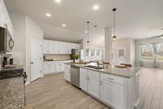 509 Inspiration Dr in Liberty Hill, TX - Building Photo - Building Photo