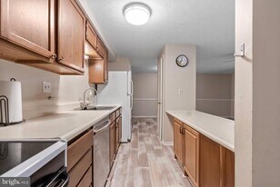 51 Sweetfern Ct in Evesham, NJ - Building Photo