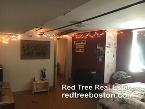 17 Putnam Ave in Cambridge, MA - Foto de edificio - Building Photo