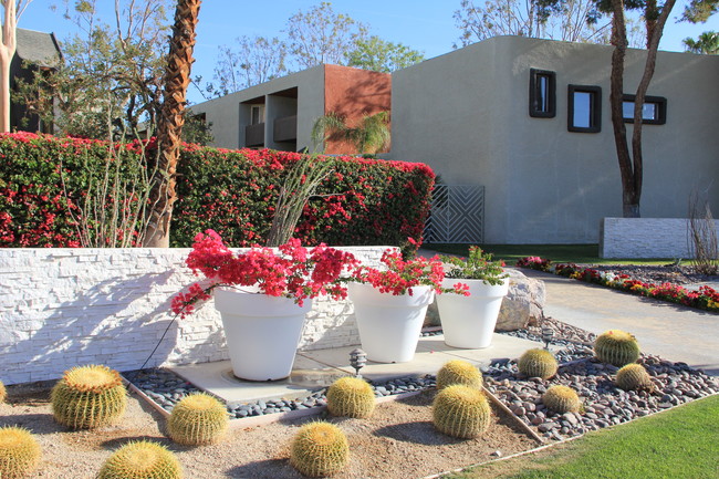 Mojave Blue in Palm Springs, CA - Foto de edificio - Building Photo