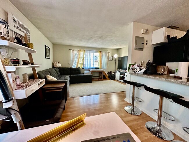 260 River St, Unit 6 in Waltham, MA - Building Photo - Building Photo