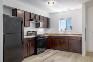 Williams Street Townhomes in Dwight, IL - Building Photo