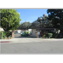 2404 Altisma Way in Carlsbad, CA - Building Photo - Building Photo