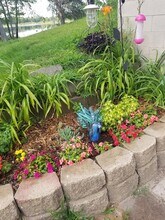 2099 317th Ave NE in Cambridge, MN - Building Photo - Building Photo