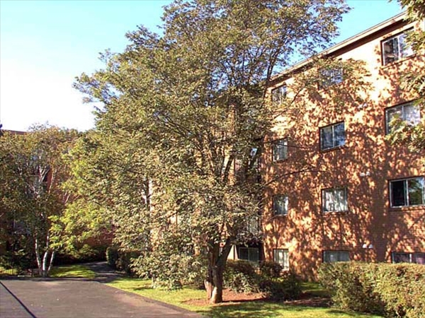 Marine View Terrace in Halifax, NS - Building Photo