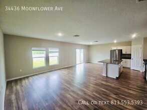 34436 Moonflower Ave in Wesley Chapel, FL - Building Photo - Building Photo