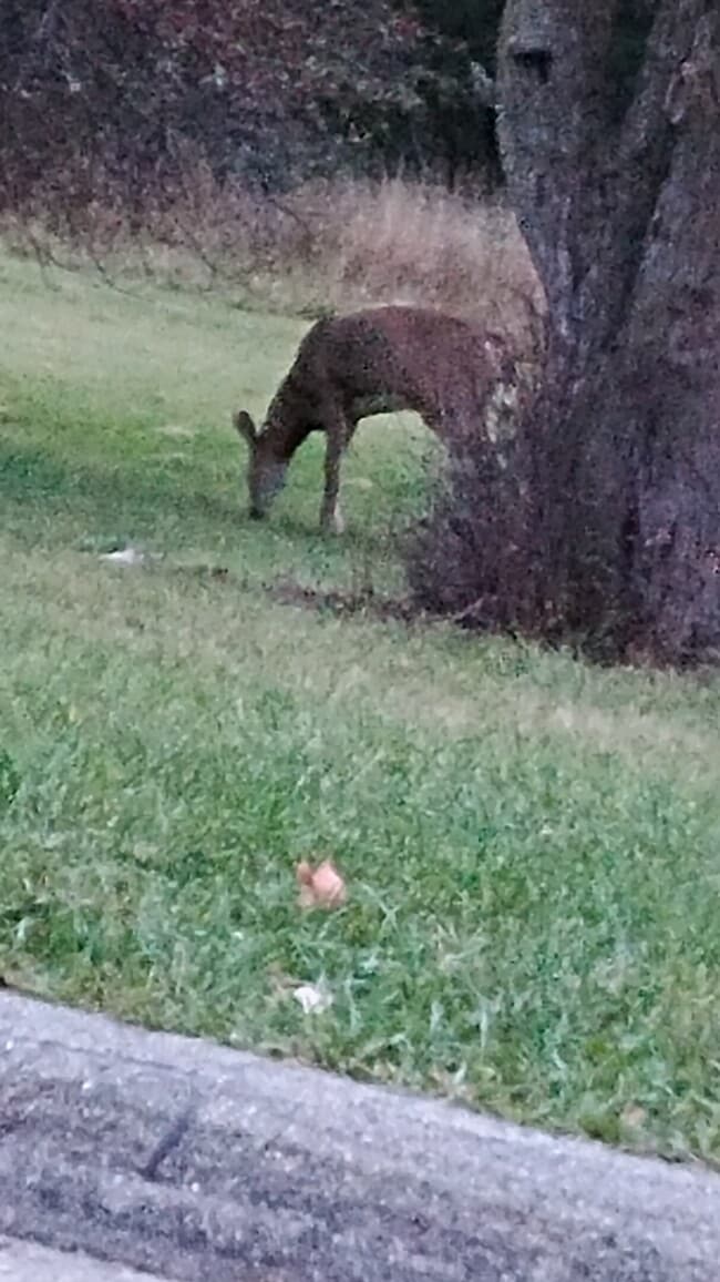 3414 S 92nd St, Unit 4/family upper