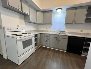 316 N Spring Ave in Sioux Falls, SD - Building Photo - Building Photo