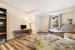 1 Manila St in Asheville, NC - Building Photo