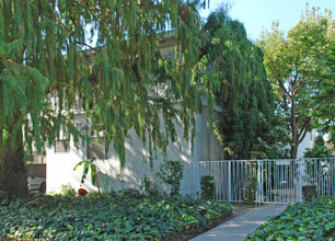 3419 Jasmine Ave in Los Angeles, CA - Building Photo - Other