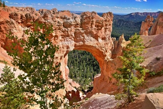 220 Circle Dr in Brian Head, UT - Building Photo - Building Photo