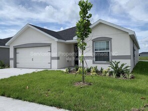 11838 Stone Pine St in Riverview, FL - Building Photo - Building Photo