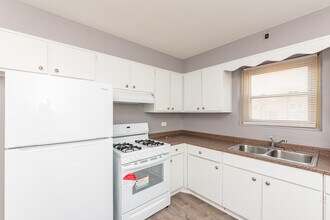 335 Custer Ave in Evanston, IL - Building Photo - Building Photo