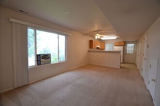 7806 Antelope Ridge Point in Colorado Springs, CO - Foto de edificio - Building Photo