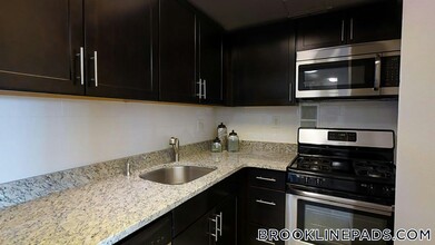 175 Freeman St in Brookline, MA - Building Photo - Building Photo