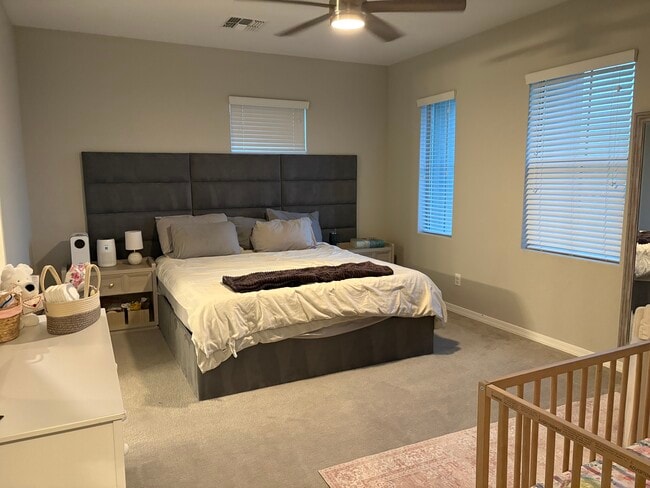 31530 N 24th Dr in Phoenix, AZ - Foto de edificio - Building Photo