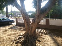 3363 Park Ave photo'