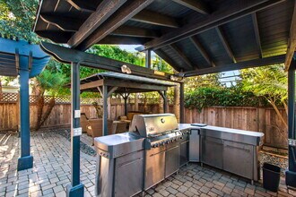 34507 Camino El Molino in Dana Point, CA - Building Photo - Building Photo