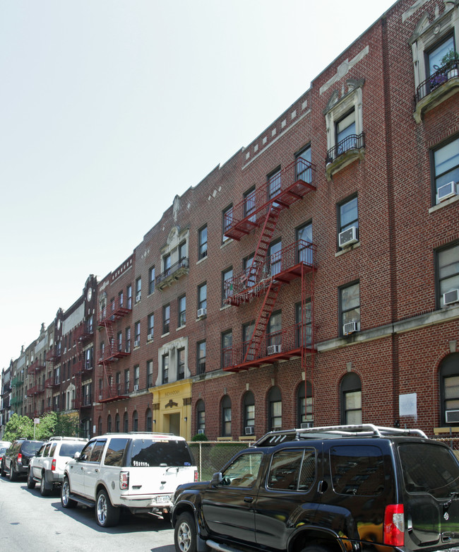 Shenandoah in Brooklyn, NY - Foto de edificio - Building Photo