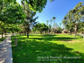 26342 Long St in Loma Linda, CA - Building Photo - Building Photo