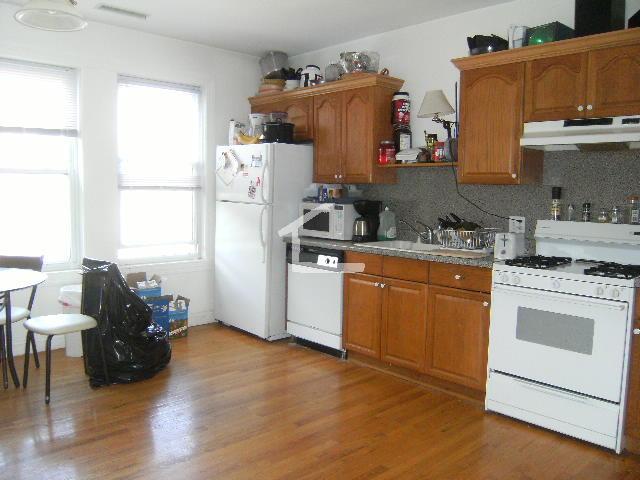 44 Champney St, Unit 3 in Boston, MA - Building Photo - Building Photo