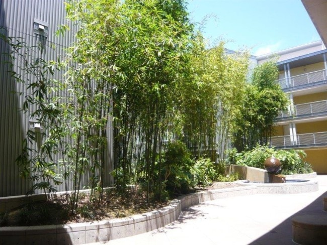 3090 Glascock St-Unit -407 in Oakland, CA - Building Photo - Building Photo