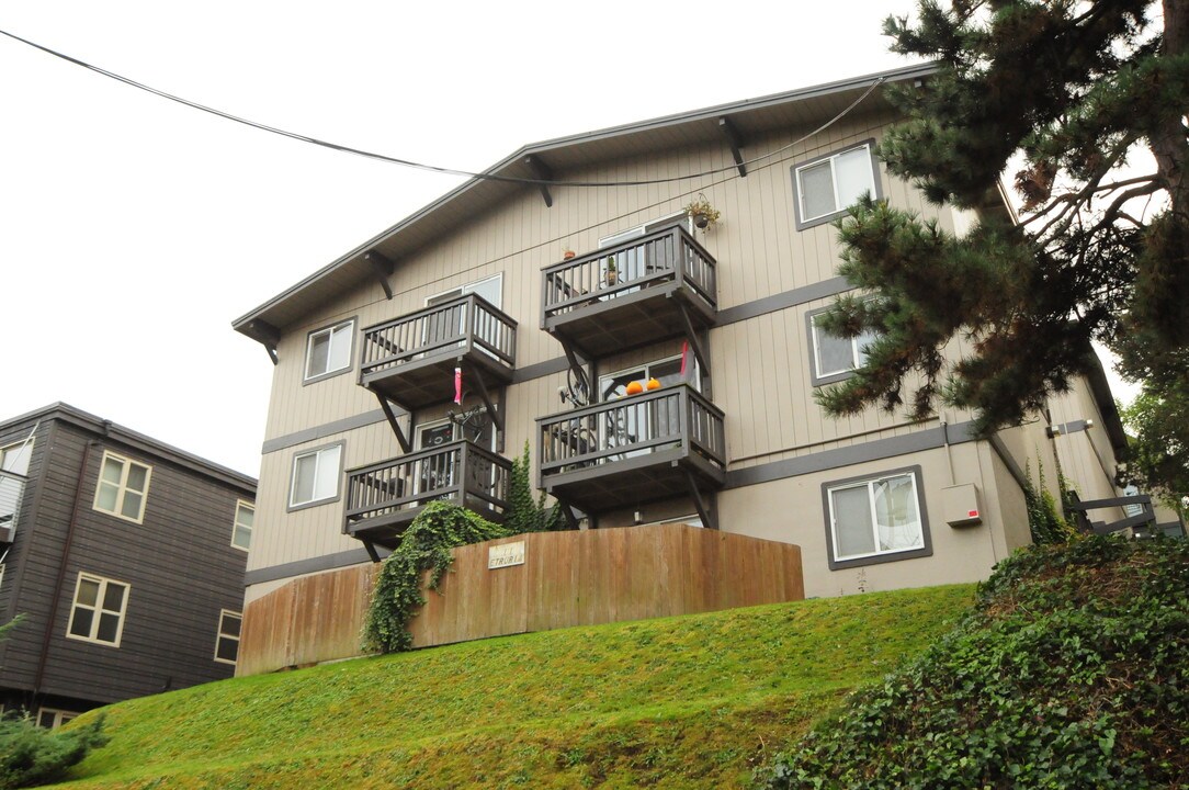 Etruria Apartments in Seattle, WA - Foto de edificio