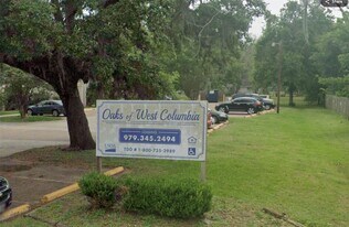 225 S 13th St in West Columbia, TX - Building Photo