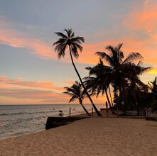 91-839 Pohakupuna Rd, Unit D in Ewa Beach, HI - Building Photo - Building Photo