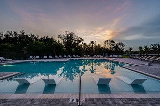 SkyMor Wesley Chapel in Wesley Chapel, FL - Building Photo - Building Photo