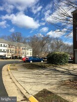 21542 Harvest Green Terrace in Broadlands, VA - Building Photo