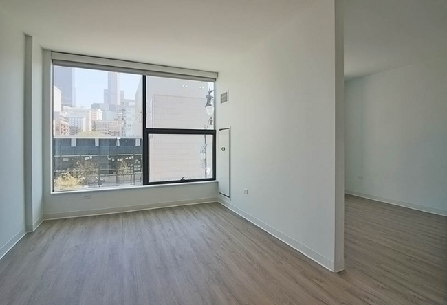808 S Green St in Chicago, IL - Building Photo - Building Photo
