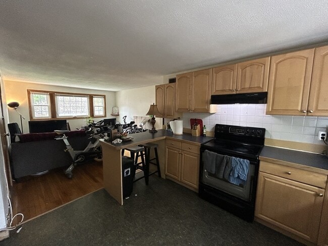 777 Lagrange St, Unit 4 in Boston, MA - Building Photo - Building Photo