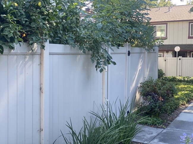 2539 Blue Rock Ct in San Jose, CA - Building Photo - Building Photo