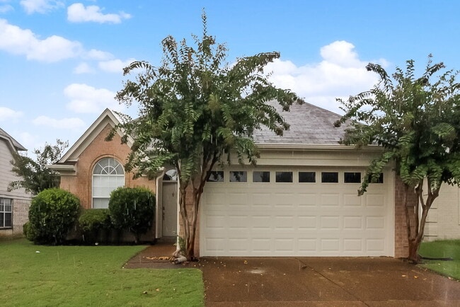 property at 9996 Houston Birch Dr