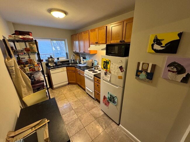 337A Huntington Ave, Unit 14 in Boston, MA - Building Photo - Building Photo