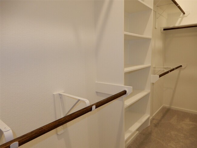 22636 Hackberry Leaf Dr in New Caney, TX - Building Photo - Building Photo