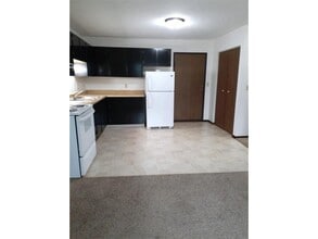 303 1st St SW in Glyndon, MN - Building Photo - Building Photo