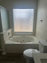 15727 Cotton Tail Ln in San Antonio, TX - Foto de edificio - Building Photo